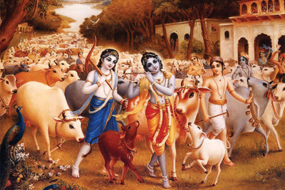 

RadhaKripa lord shree krishna Poster Paper Print(18 inch X 12 inch, Rolled)