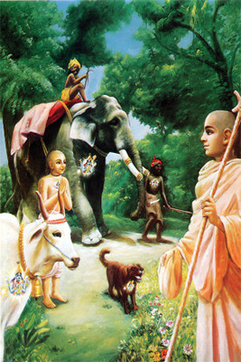 

RadhaKripa krishna all Poster Paper Print(18 inch X 12 inch, Rolled)