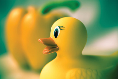 

RadhaKripa duck poster Poster Paper Print(18 inch X 12 inch, Rolled)