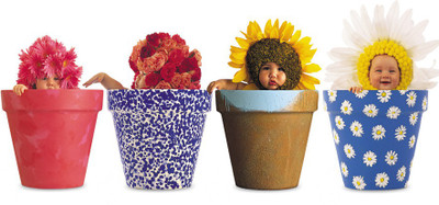 

BikriKendra funny baby in plant post Poster Paper Print(18 inch X 12 inch, Rolled)