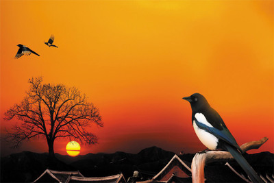 

RadhaKripa Sunrise Sunset Paper Print(18 inch X 12 inch, Rolled)