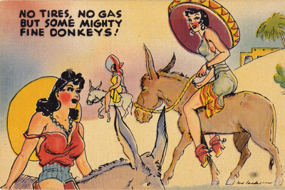 

RadhaKripa donkeys Poster Paper Print(18 inch X 12 inch, Rolled)