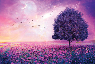

RadhaKripa Red sky bird flower Poster Paper Print(18 inch X 12 inch, Rolled)