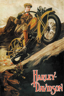 

BikriKendra harley division Poster Paper Print(18 inch X 12 inch, Rolled)