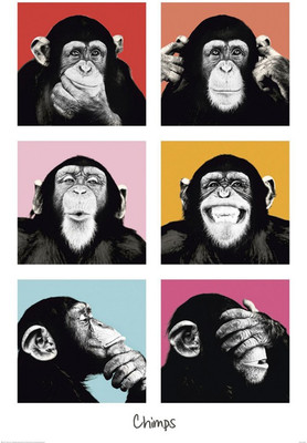 

RadhaKripa chimps Poster Paper Print(18 inch X 12 inch, Rolled)