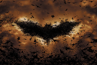 

BikriKendra the bat Poster Paper Print(18 inch X 12 inch, Rolled)