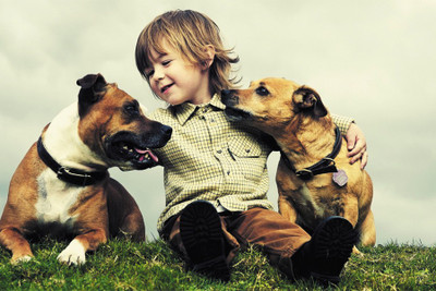 

BikriKendra Cute baby friendship with dog Poster Paper Print(18 inch X 12 inch, Rolled)