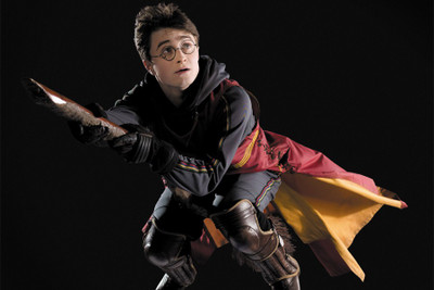 

Harry Potter Quidditch Paper Print(18 inch X 12 inch, Rolled)