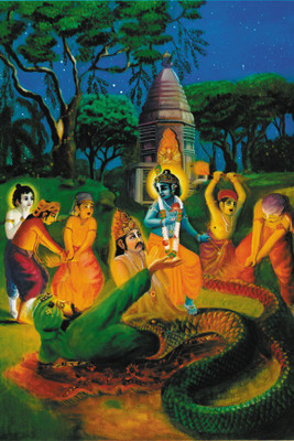 

RadhaKripa Krsna save Nanda Poster Paper Print(18 inch X 12 inch, Rolled)
