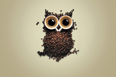 

owl on wall Paper Print(18 inch X 12 inch, Rolled)