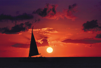 

romantic evening Paper Print(18 inch X 12 inch, Rolled)