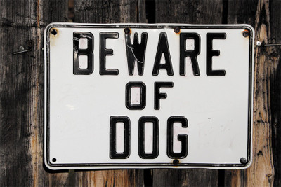 

BikriKendra beware of dog Poster Paper Print(18 inch X 12 inch, Rolled)