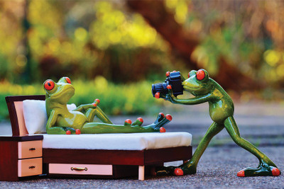 

RadhaKripa funny frog photographer Poster Paper Print(18 inch X 12 inch, Rolled)