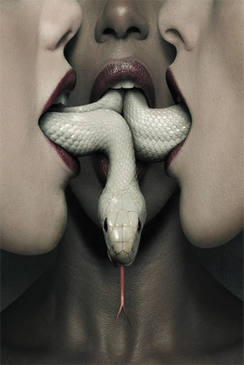 

BikriKendra coven Poster Paper Print(18 inch X 12 inch, Rolled)