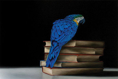 

RadhaKripa parrot books blue Poster Paper Print(18 inch X 12 inch, Rolled)