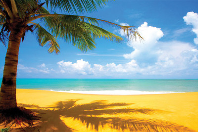 

RadhaKripa nature plage Poster Paper Print(18 inch X 12 inch, Rolled)