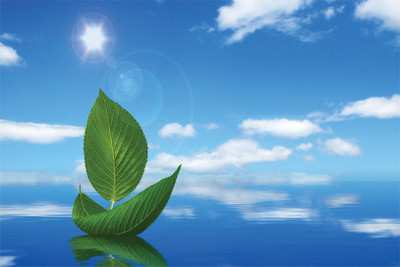 RadhaKripa nature Poster Paper Print(18 inch X 12 inch, Rolled)