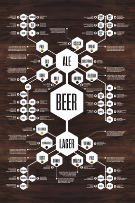 

RadhaKripa Beer Diagram Poster Paper Print(18 inch X 12 inch, Rolled)