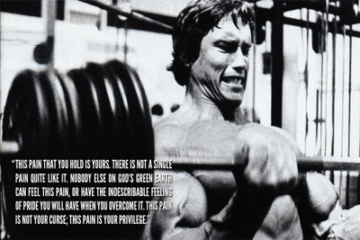 

RadhaKripa arnold schwarzenegger quote Poster Paper Print(18 inch X 12 inch, Rolled)