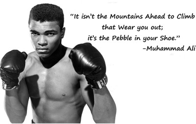 

RadhaKripa muhammad ali poster 1 Poster Paper Print(18 inch X 12 inch, Rolled)