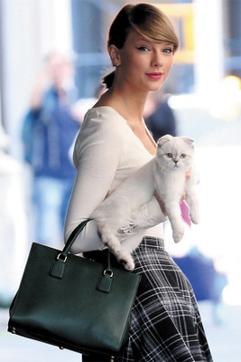 

RadhaKripa taylor swift cat Poster Paper Print(18 inch X 12 inch, Rolled)