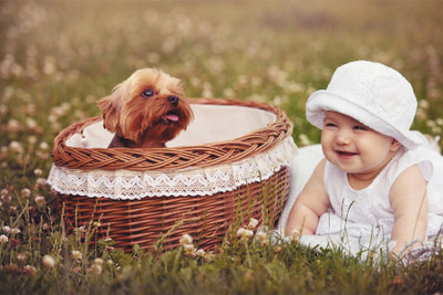 

BikriKendra cute baby girl Poster Paper Print(18 inch X 12 inch, Rolled)