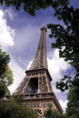 

RadhaKripa paris eiffel tower Poster Paper Print(18 inch X 12 inch, Rolled)