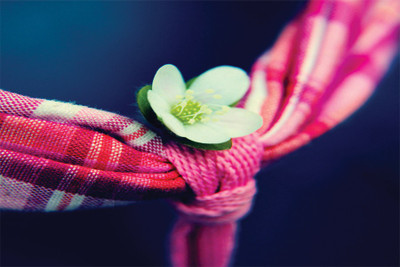 

RadhaKripa little flower like Poster Paper Print(18 inch X 12 inch, Rolled)