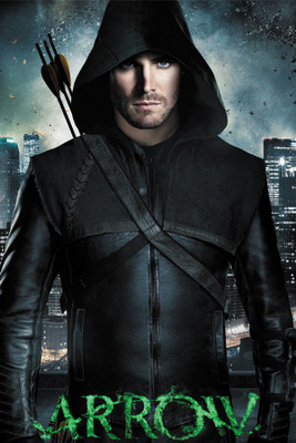 

Arrow Paper Print(18 inch X 12 inch, Rolled)