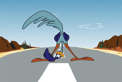 

RadhaKripa roadrunner and wile e coyote Poster Paper Print(18 inch X 12 inch, Rolled)