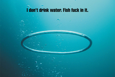 

BikriKendra water Poster Paper Print(18 inch X 12 inch, Rolled)