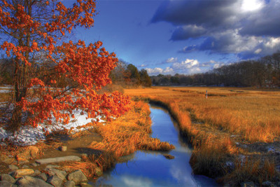 

RadhaKripa nature river poster Poster Paper Print(18 inch X 12 inch, Rolled)
