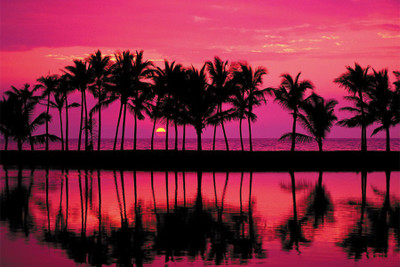 

RadhaKripa pink sunset Paper Print(18 inch X 12 inch, Rolled)