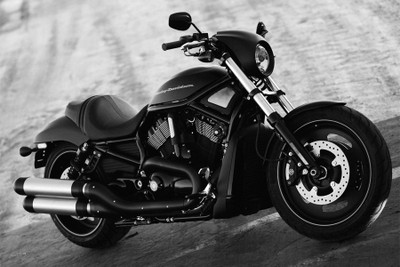 

harley davidson night rod Paper Print(18 inch X 12 inch, Rolled)