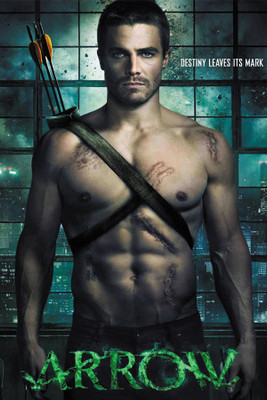 

Arrow Destiny leaves its mark Paper Print(18 inch X 12 inch, Rolled)