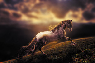 

RadhaKripa Horse painting Poster Paper Print(18 inch X 12 inch, Rolled)