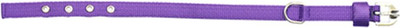 

Oliver Pet Care Plain Dog Collar Charm(Purple, Other)