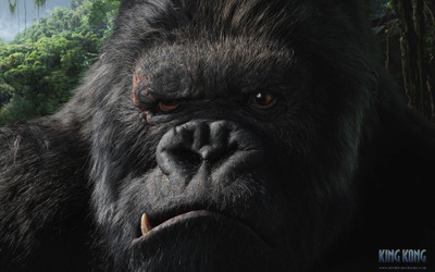 

Movie King Kong (2005) King Kong HD Wallpaper Background Paper Print(12 inch X 18 inch, Rolled)