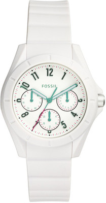 

Fossil ES4064 POPTASTIC Watch - For Women