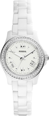 

Fossil CE1085 CECILE Watch - For Women
