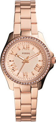 

Fossil AM4578 CECILE Watch - For Women
