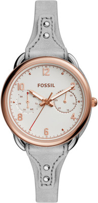 

Fossil ES4048 TAILOR Watch - For Women