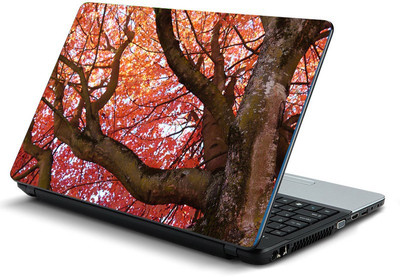 

Printclub PCLS-1464 Vinyl Laptop Decal 15.6