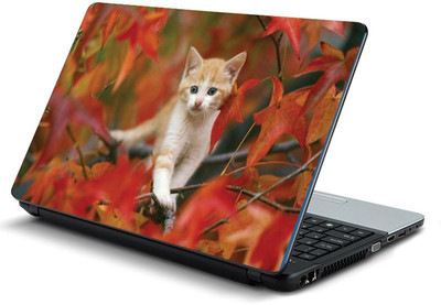 

Printclub PCLS-1345 Vinyl Laptop Decal 15.6
