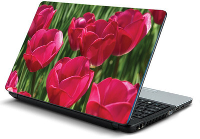 

Printclub PCLS-1548 Vinyl Laptop Decal 15.6