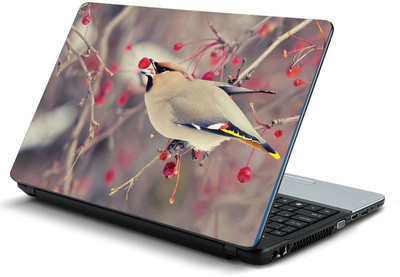 Printclub PCLS-0225 Vinyl Laptop Decal 15.6