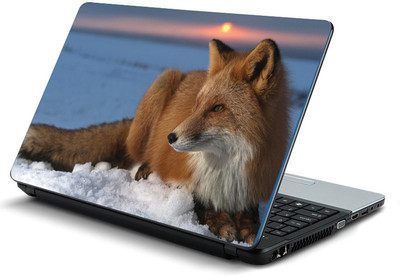 

Printclub PCLS-1270 Vinyl Laptop Decal 15.6