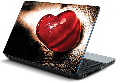 

Printclub PCLS-1383 Vinyl Laptop Decal 15.6