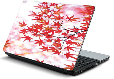 

Printclub PCLS-0025 Vinyl Laptop Decal 15.6