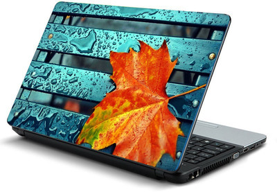 

Printclub PCLS-1755 Vinyl Laptop Decal 15.6